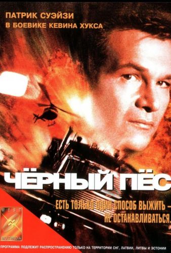 Чорний пес (1998)