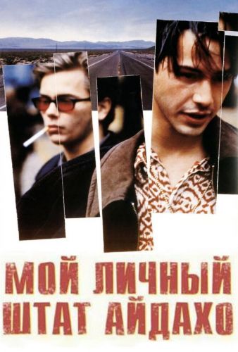 Мій власний штат Айдахо (1991)