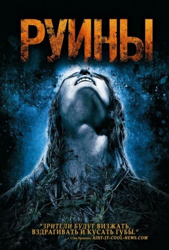 Руїни (2008)